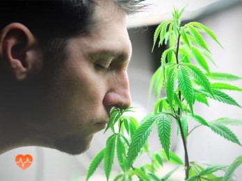Детоксикация от марихуаны в Надыме